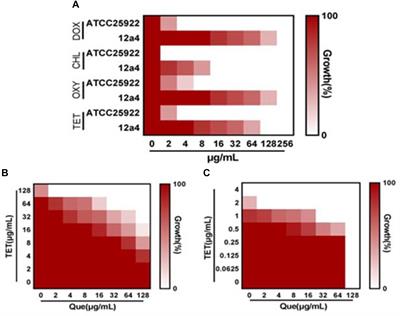 Mechanism of Synergy Between Tetracycline and Quercetin Against Antibiotic Resistant Escherichia coli